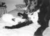 sindri sleeping on loki.jpg (23332 bytes)