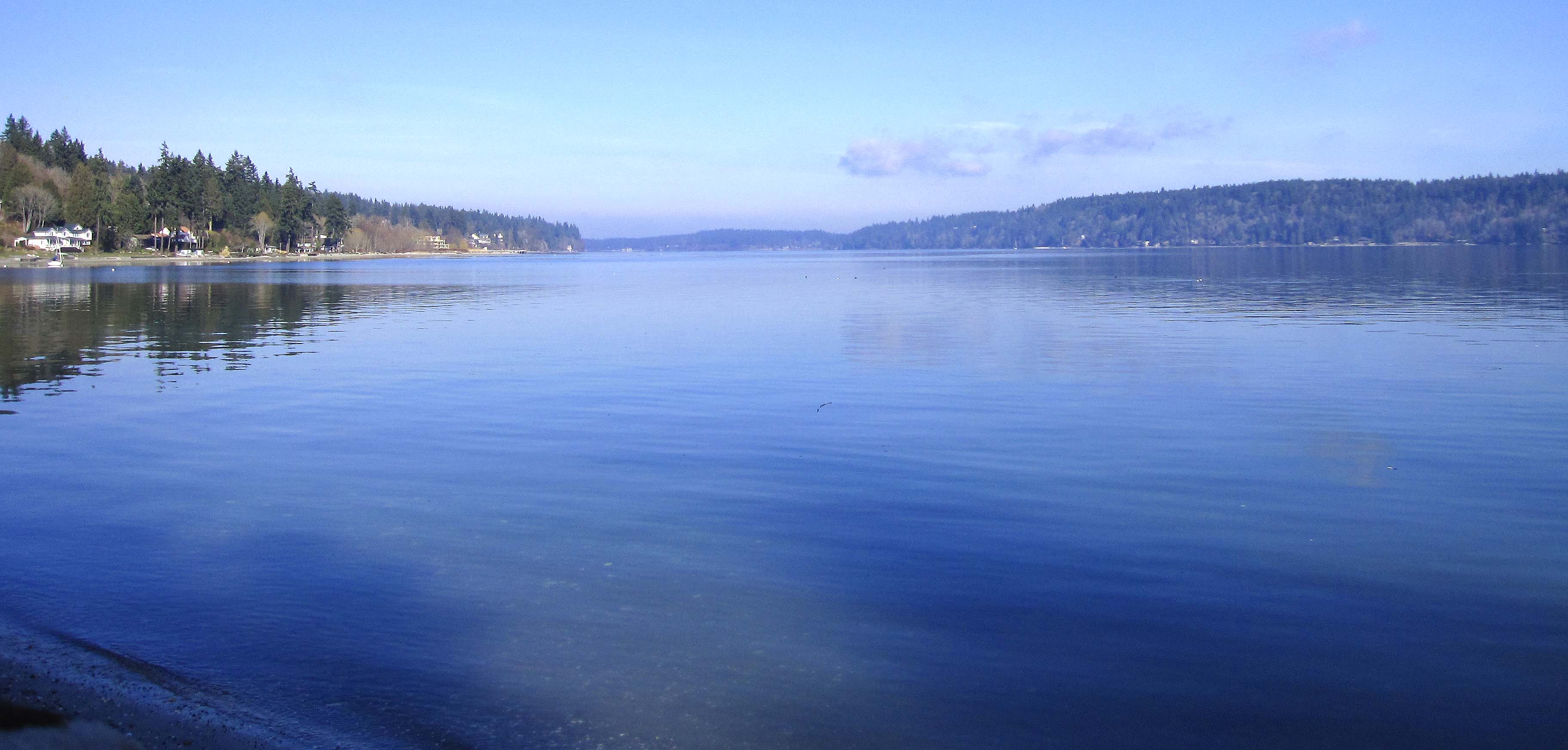 Looking Nort toward agaate Passage.