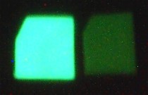 Strontium compound and the old compound after 1 minute in the dark.