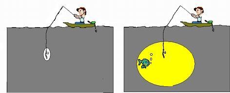 Which strike zone would you rather fish in?