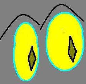 eye2.JPG