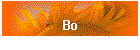 Bo