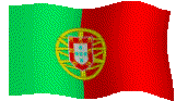 Image of pt-flag1.gif