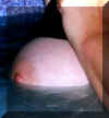 memprofile_liz.jpg (15732 bytes)