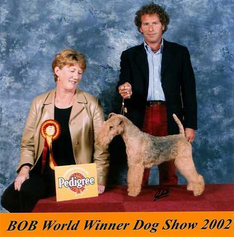 GB. Int. & World Champion Lakeridge the Joker