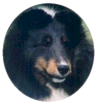 amelia5.gif (13130 bytes)