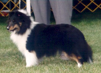amelia9.jpg (25480 bytes)