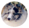 chloe3.gif (5253 bytes)