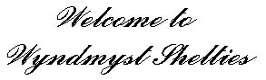 wyndmyst logo.gif (2100 bytes)