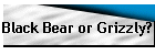Black Bear or Grizzly?