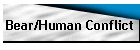 Bear/Human Conflict