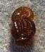 Old Roman glass bead