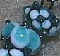 teal beads