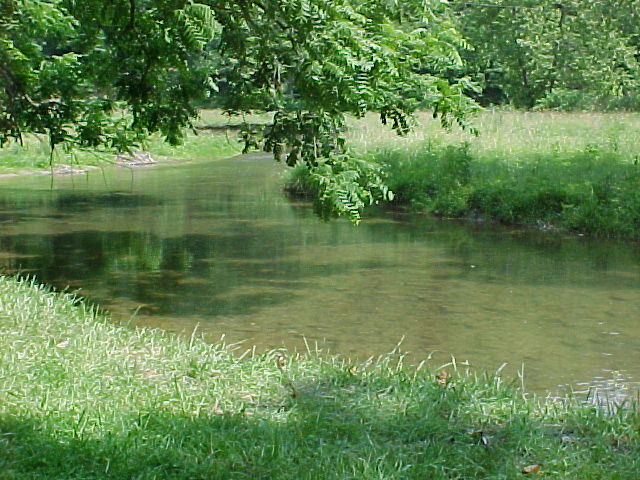 Cove Creek