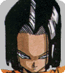 cyborg 17