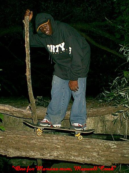 Fallen tree at Maxwell Creek waterfalls.  Nice balance Marvin!