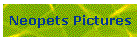 Neopets Pictures