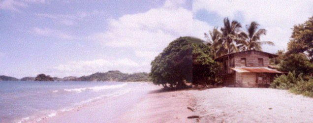 La playa de comer la pi�a en Brasilito