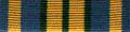 6 Months Ribbon