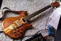 Ibanez Musician