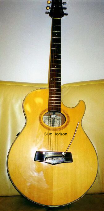 gtr-small.jpg