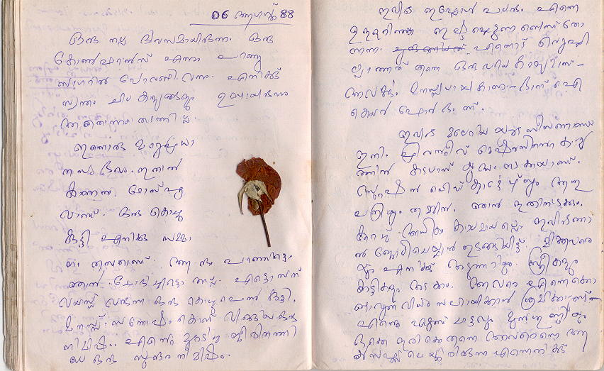 the rose was from the child's own garden and 
she brought it to me of her own accord and 
NOT because mr.chaaran of the indian police or his pimps told her to do so
