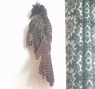 prod it, yes click on the bird
and make it shriek;
it is still alive!
