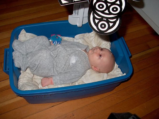 I'm getting packed for the move.