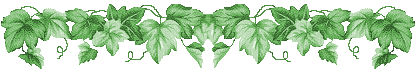 ivy3.gif (14576 bytes)