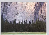 Click for larger pic