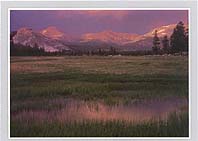 Click for larger pic