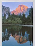 Click for larger pic