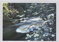 Click for larger pic