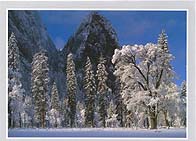 Click for larger pic