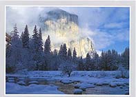 Click for larger pic