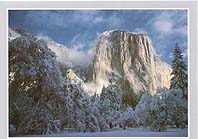 Click for larger pic