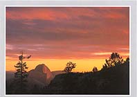 Click for larger pic