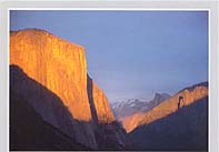 Click for larger pic