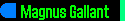 Magnus Gallant's Bio