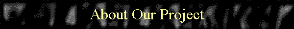 About Our Project