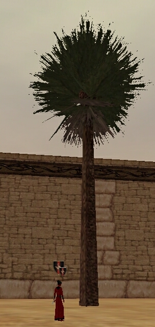 Irekei treasure: the date palm tree