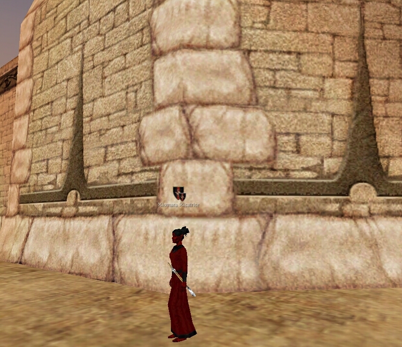 Detailed picture of the sandstone walls of the Irekei city of Khar Th'Sekt in the MMORPG of Shadowbane, showing inserts of igneous rock.