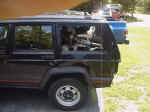 mycherokee5.jpg (57201 bytes)
