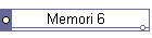 Memori 6