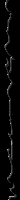  border background