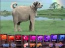 Switcheroo Zoo