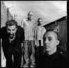soad.gif (111568 bytes)