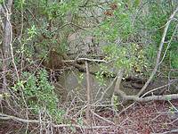 a swampy depression on Anastasia Island