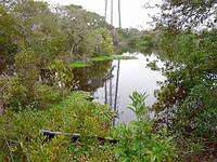 Anita was found floating in this pond