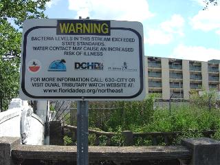 pollution on Hogans Creek